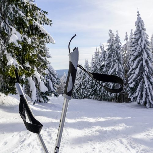 Wintersport